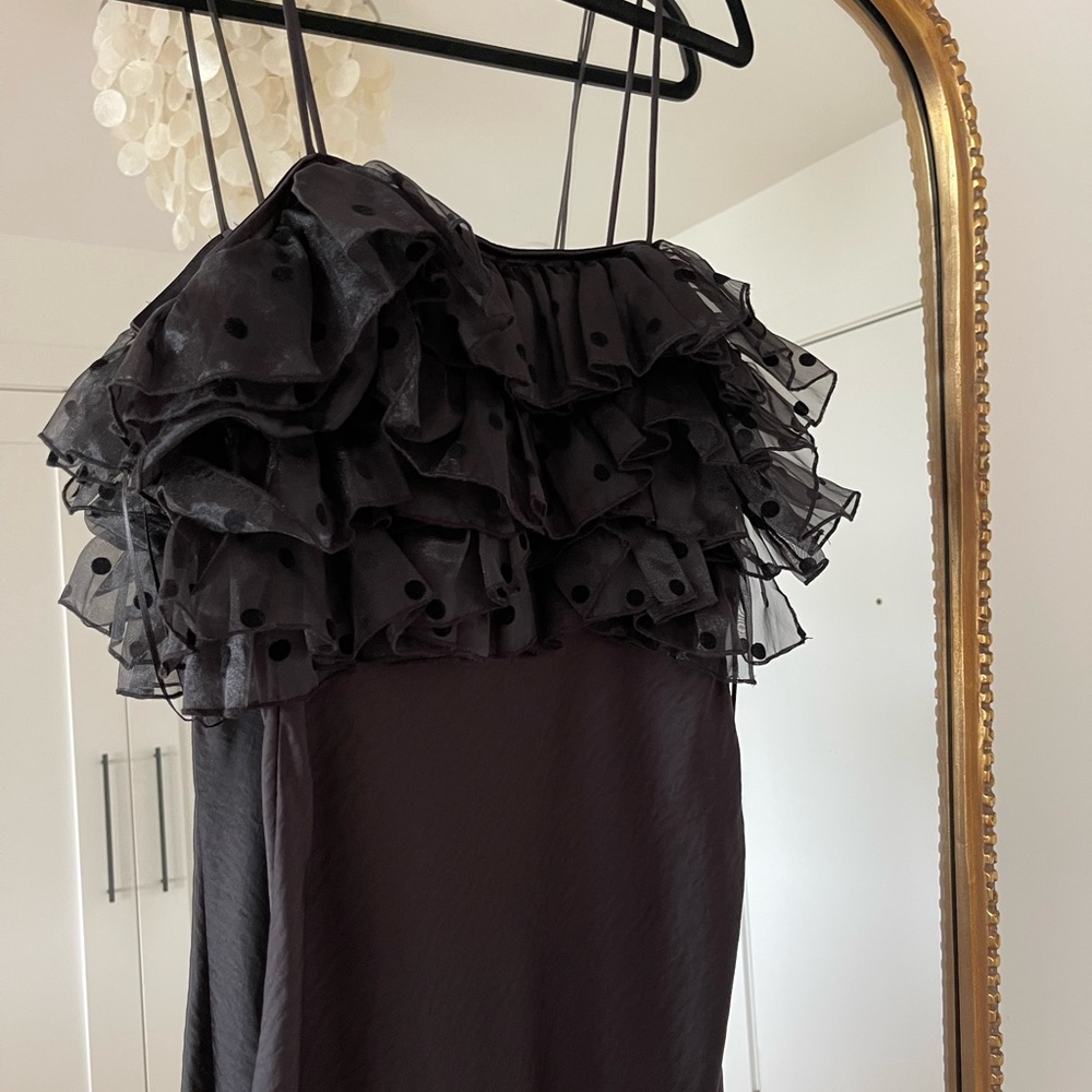 NWT Zara Midi Dress with Organza Polka Dots